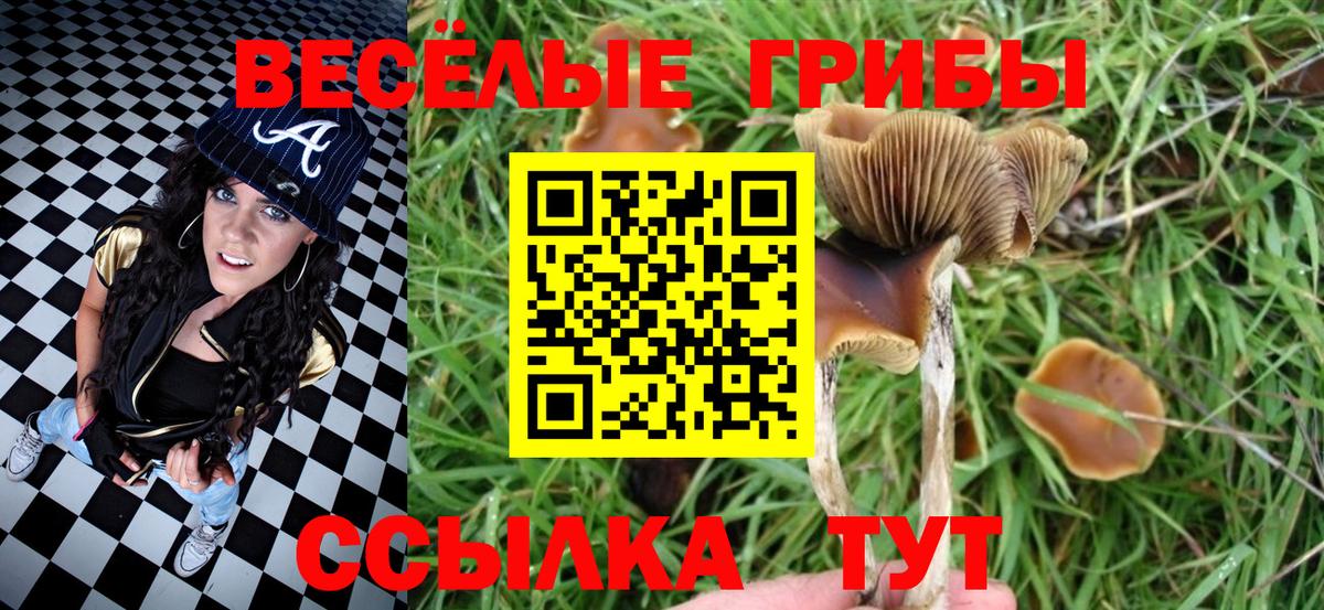 где купить наркотик  Псилоцибиновые грибы прущие грибы  Вход с VPN  Красноярск 